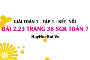Giải bài 2.23 trang 38 Toán 7 Tập 1 SGK Kết nối tri thức